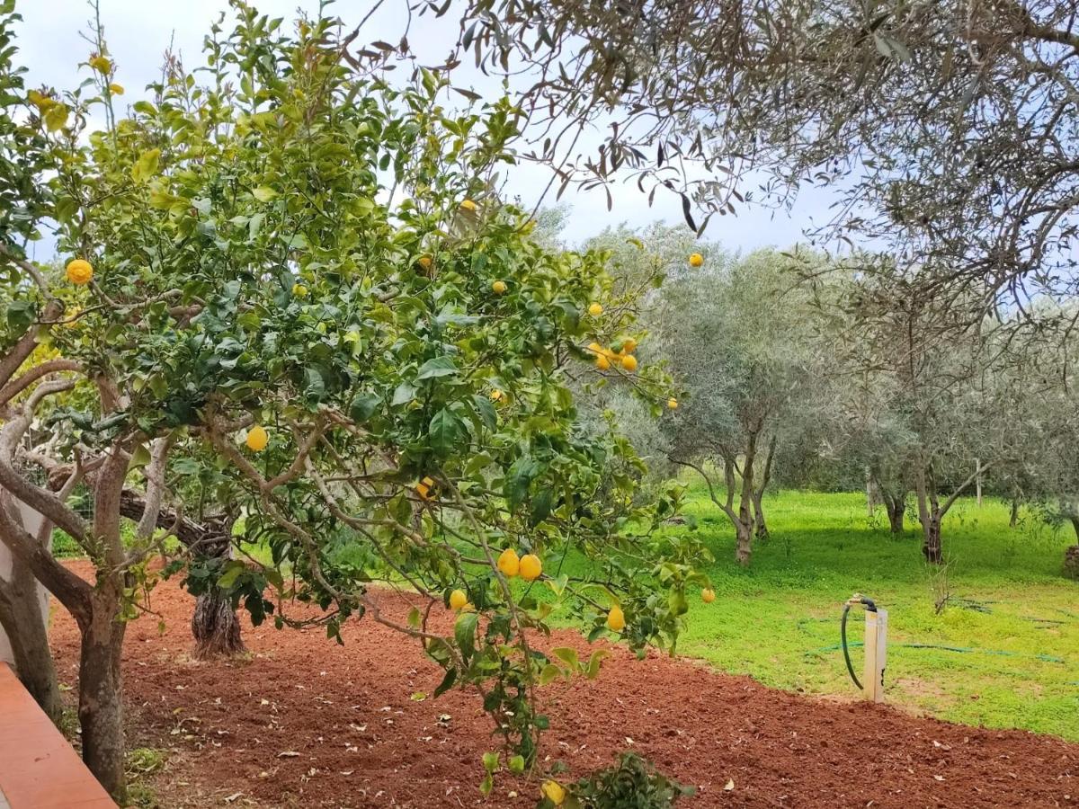 Casa Vacanze Da Nonna Mela Alghero Esterno foto